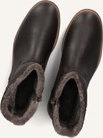 Braune PANAMA JACK Ankle Boots GILBERT IGLOO Braune PANAMA JACK Ankle Boots GILBERT IGLOO - medium
