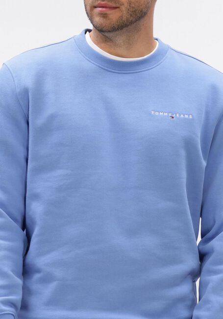 Beige TOMMY JEANS Sweatshirt TJM REG LINEAR CREW EXT - large