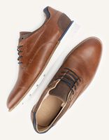Cognacfarbene PS POELMAN Schnürschuhe BENICIO Cognacfarbene PS POELMAN Schnürschuhe BENICIO - medium