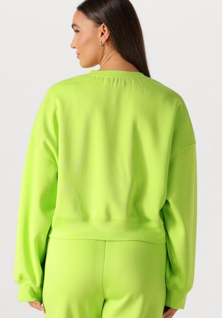 Gr&uuml;ne STUDIO AMAYA Pullover & Cardigans 261-ST6 - large