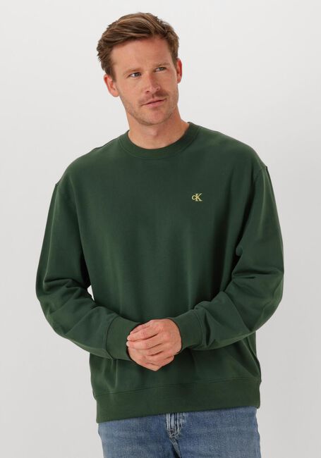 Dunkelgrün CALVIN KLEIN Sweatshirt LS EU 350TERRY MONOGRAM CN SWEAT - large