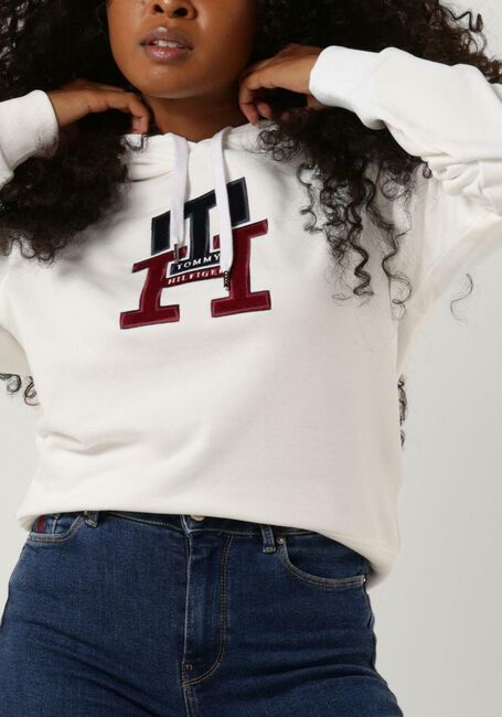 Beige TOMMY HILFIGER Sweatshirt LARGE MONOGRAM TH HOODIE - large