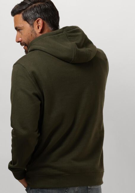 Grüne TOMMY JEANS Pullover & Cardigans TJM REG S FLAG HOODIE - large