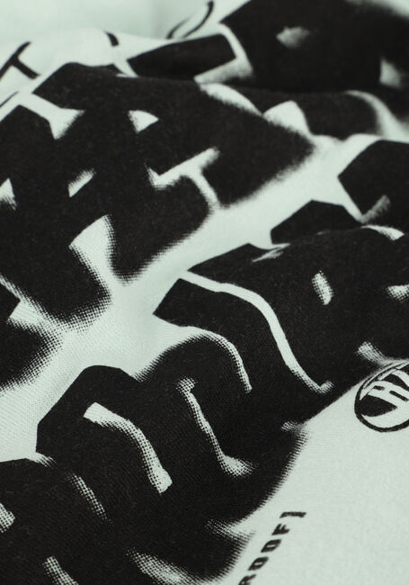 Grüne RAIZZED Hoodies NEZAR - large