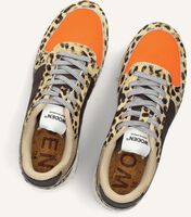 Braune WODEN Sneaker Low RONJA COWHAIR Braune WODEN Sneaker Low RONJA COWHAIR - medium