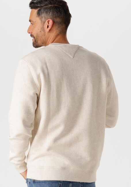 Beige TOMMY JEANS Sweatshirt TJM REG LINEAR CREW EXT - large