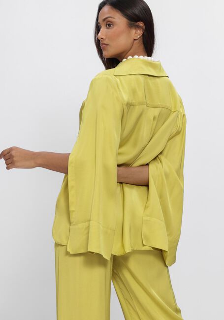 Gr&uuml;ne NEMA Blusen N017 - large