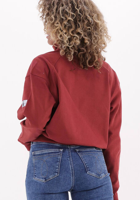 Braune CALVIN KLEIN Sweatshirt BADGE HALF ZIP SWEATSHIRT - large