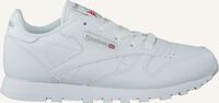 Weiße REEBOK Sneaker Low CLASSIC LEATHER KIDS Weiße REEBOK Sneaker Low CLASSIC LEATHER KIDS - medium