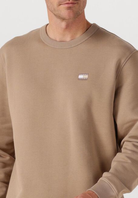 Sand TOMMY JEANS Pullover TJM REG BADGE CREW EXT - large