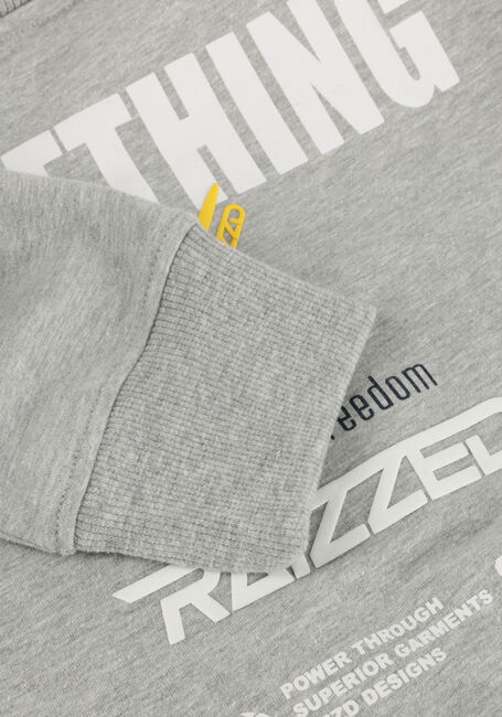 Graue RAIZZED Sweatshirt NORWIN - large