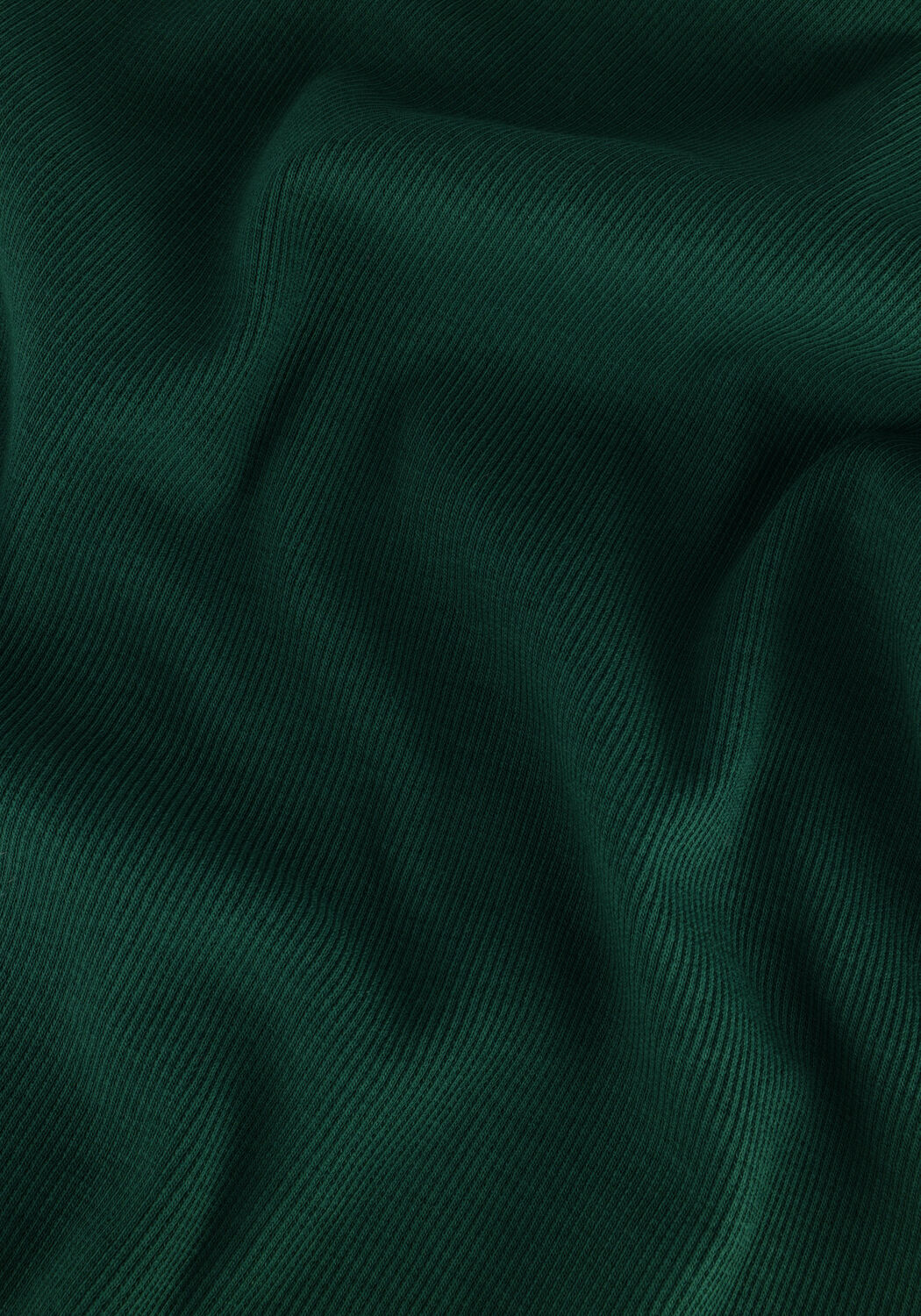 Gr&uuml;ne ESM&Eacute; STUDIOS Rollkragenpullover BLOSSOM LS ROLL NECK - large