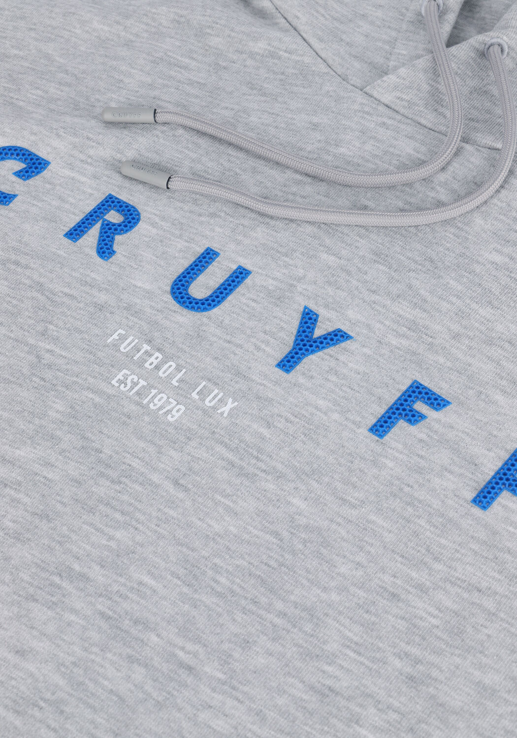 Hellgrau CRUYFF Sweatshirt AITOR HOODIE - BRUSH BACK FLEECE - large