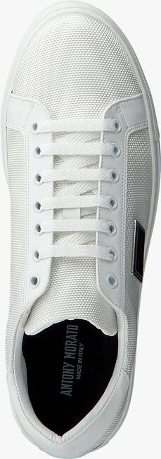 Weiße ANTONY MORATO Sneaker low MMFW01117 LE500019 - large