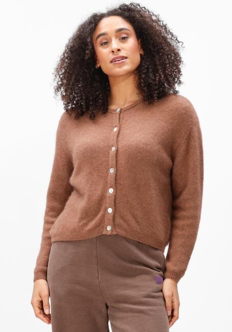 Braune AMERICAN VINTAGE Pullover VITOW - large