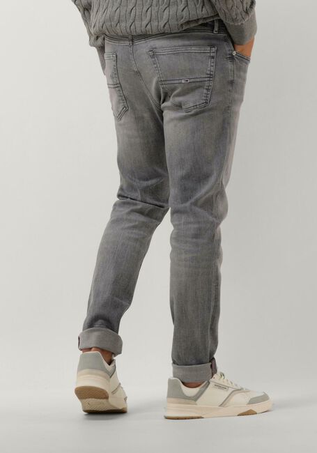 Graue TOMMY JEANS Slim fit jeans AUSTIN SLIM TPRD DG1272 - large