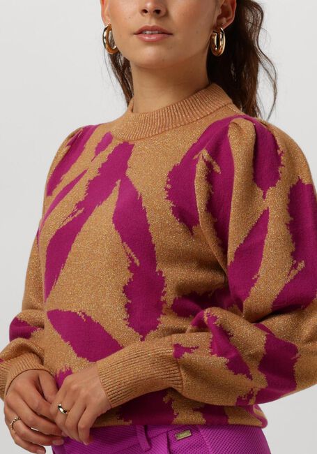 Braune POM AMSTERDAM Pullover PULLOVER - FEATHERS SPARKLE - large