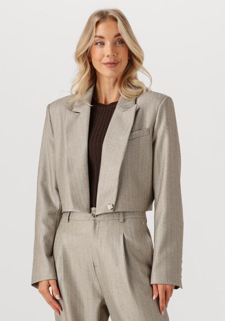 Hellgrau IBANA Blazer JELAH PINESTRIPE - large
