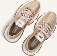 Goldfarbig STEVE MADDEN Sneaker Low PROJECT Goldfarbig STEVE MADDEN Sneaker Low PROJECT - medium