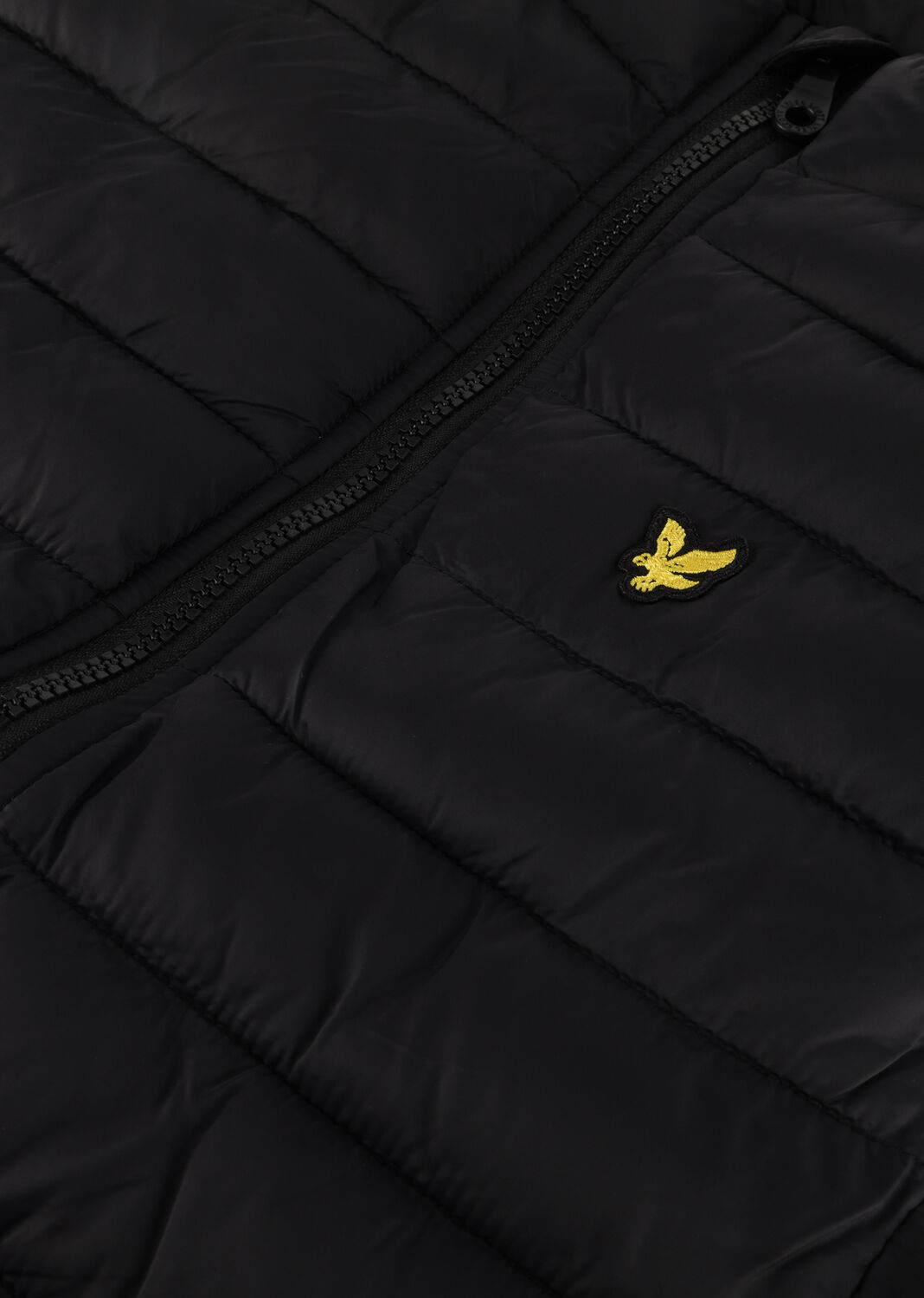 Schwarze LYLE & SCOTT Bodywarmer PADDED GILET - large