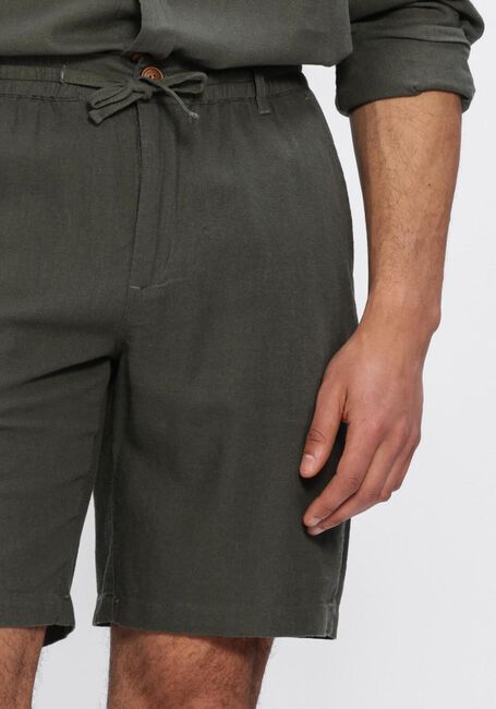 Gr&uuml;ne ANERKJENDT Kurze Hose AKJAMES COT-LINNEN-VIS SS SHORT - large