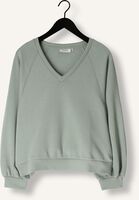 Grüne MSCH COPENHAGEN Sweatshirt MSCHNELINA IMA Q RAGLAN V SWEATERSHIRT Grüne MSCH COPENHAGEN Sweatshirt MSCHNELINA IMA Q RAGLAN V SWEATERSHIRT - medium