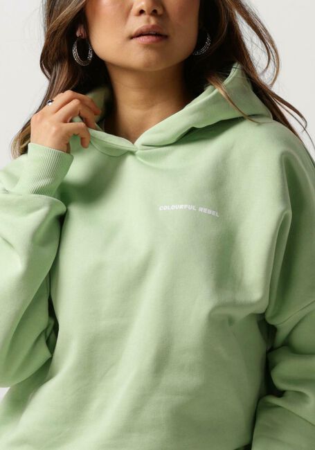 Minze COLOURFUL REBEL Pullover CR BACK LOGO DROPPED SHOULDER HOODIE - large