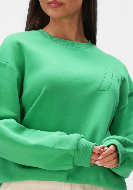 Gr&uuml;ne ALIX THE LABEL Sweatshirt LADIES KNITTED EMBROIDERED A SWEATER - large