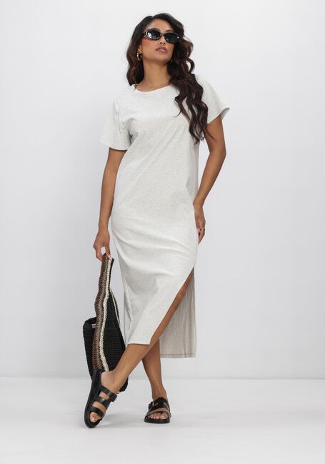 Graue AIMEE THE LABEL Kleider NALAS6 DRESS - large