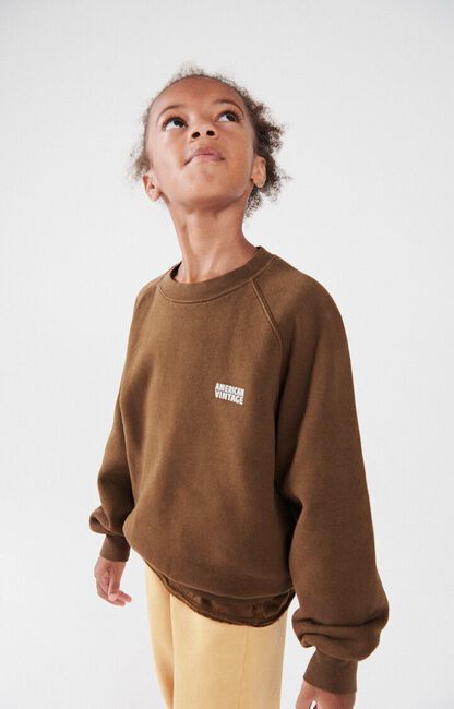 Braune AMERICAN VINTAGE Pullover IZUBIRD - large