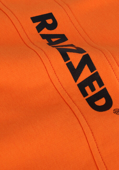 Orangene RAIZZED Pullover MACON - large