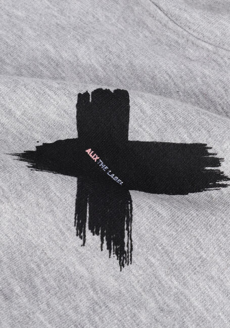 Graue ALIX MINI Pullover & Cardigans TEENS KNITTED X HOODIE - large