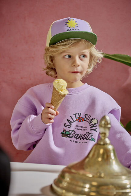 Lila Z8 Kappe VICO - large