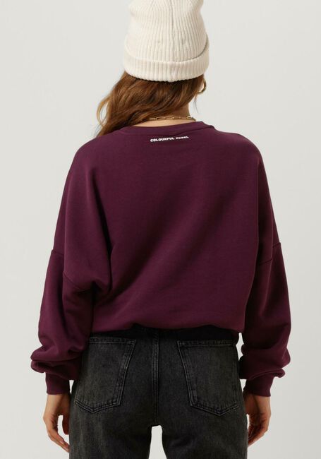 Bordeaux COLOURFUL REBEL Pullover STARLIGHT PATCH DROPPED SHOULDER SWEAT - large