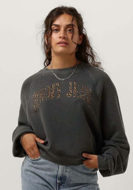 Dunkelgrau TOMMY JEANS Pullover TJW RLX LEO CREW - large