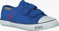 Blaue POLO RALPH LAUREN Sneaker DAYMOND EZ - medium
