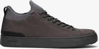 Graue BLACKSTONE Sneaker low SG18 - medium