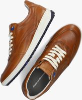 Cognacfarbene FLORIS VAN BOMMEL Sneaker low SFM-10192 - medium