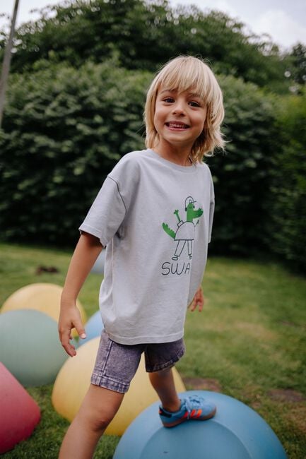 Graue DAILY BRAT T-shirt SWAG T-SHIRT - large