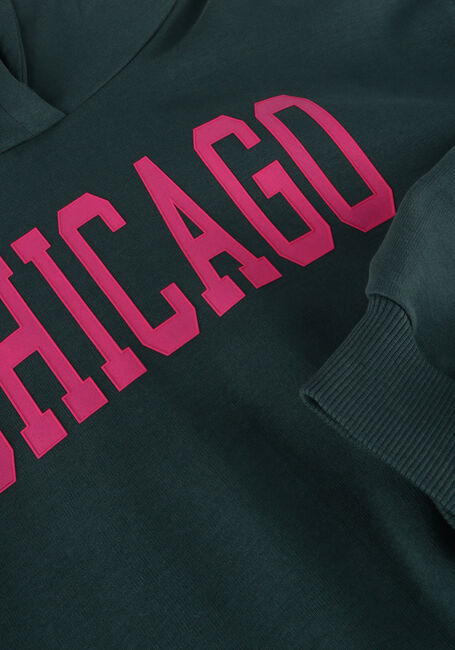 Grüne LOOXS 10sixteen Sweatshirt 2432-5352 - large