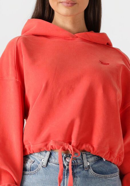 Rote TOMMY JEANS Sweatshirt TJW CRP GMD SCRIPT HOODIE - large