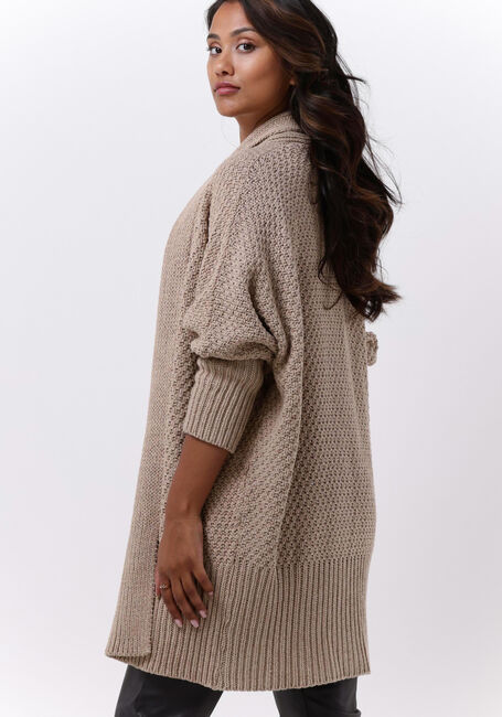 Beige SIMPLE Strickjacke ICE KNIT-ECO-COT-22-3 - large