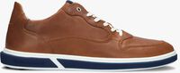 Cognacfarbene FLORIS VAN BOMMEL Sneaker low SFM-10075-02 - medium