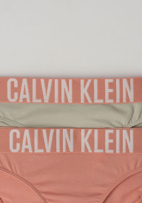 Rosane CALVIN KLEIN UNDERWEAR  2PK BIKINI - large