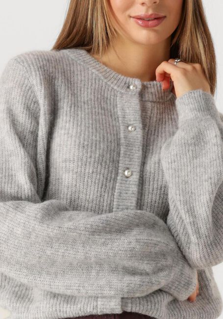 Graue MODSTRÖM Pullover LENNIMD CARDIGAN - large
