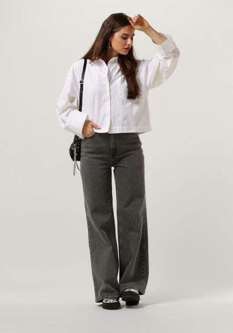 Hellgrau SELECTED WOMEN Wide jeans SLFELOISE HW WIDE LIGHT GREY JEANS - large