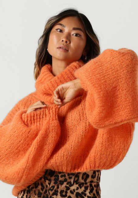 Orangene AMERICAN DREAMS Rollkragenpullover PEPPER ROLL NECK CROPPED - large