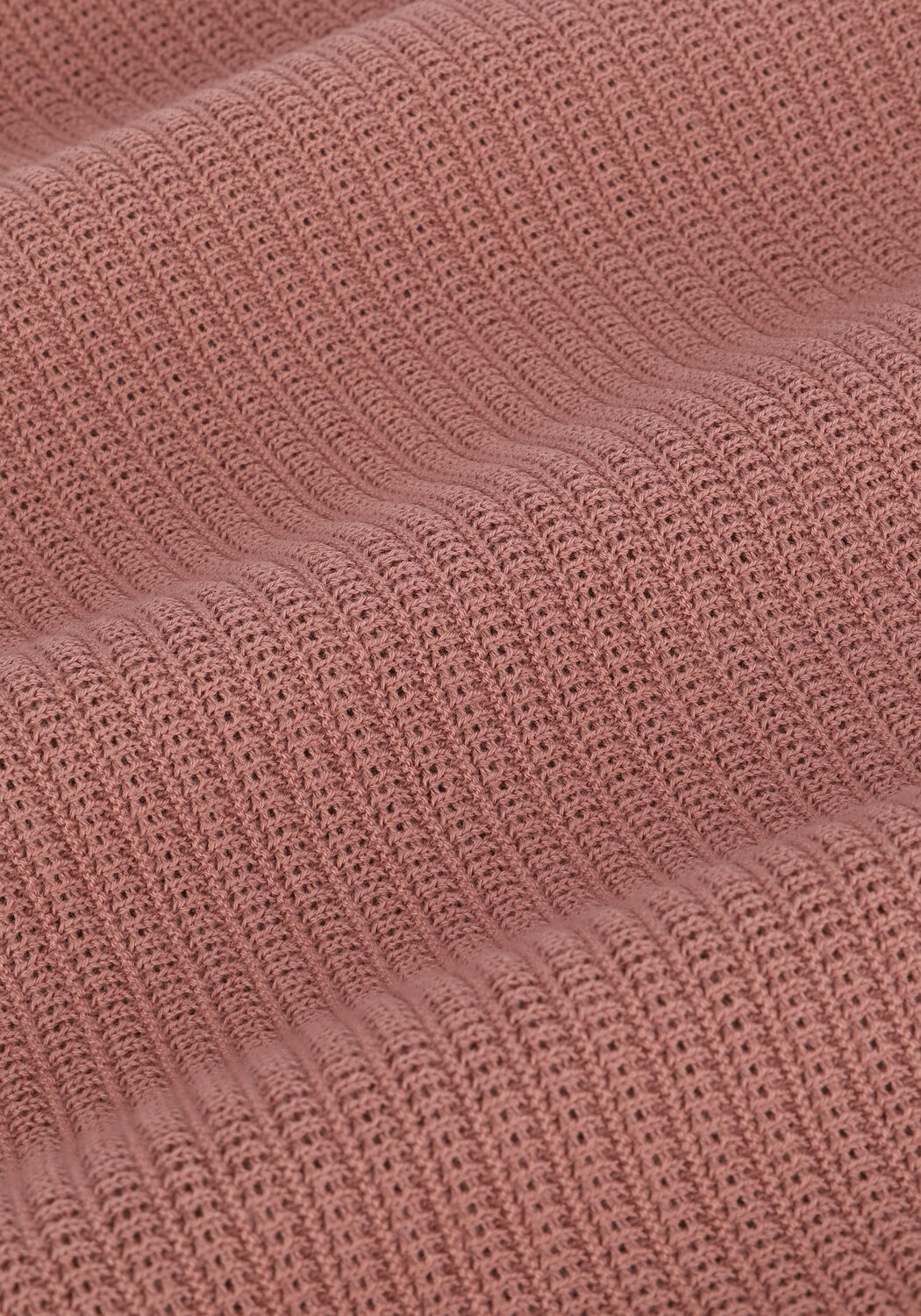 Braune SAINT STEVE T-shirt HEIN - large