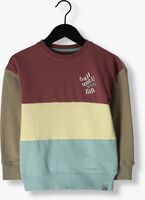 Mehrfarbige/Bunte Z8 Sweatshirt DOLF - medium