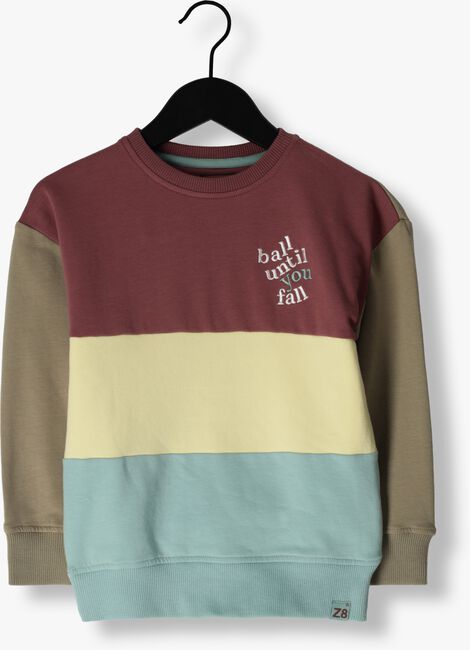 Mehrfarbige/Bunte Z8 Sweatshirt DOLF - large